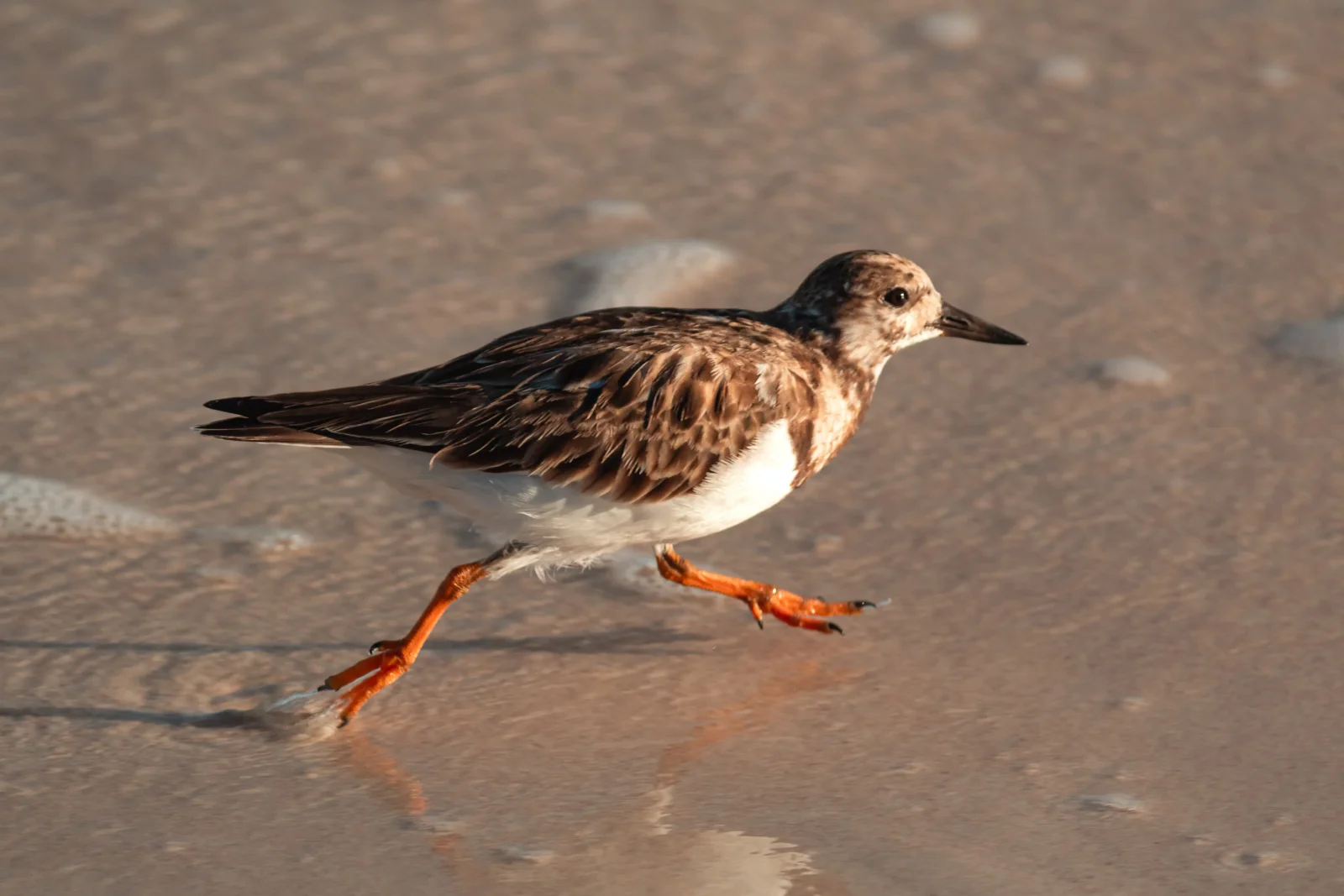 nature photography by JRMGraphy